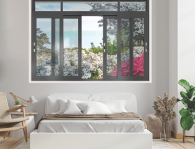 Cửa đi cửa sổ hệ sw55